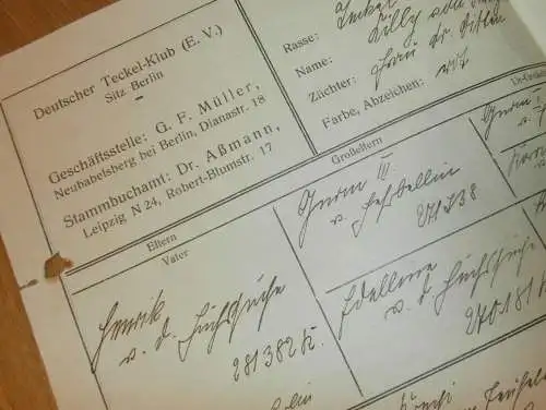 Deutscher Teckel Klub in Berlin , 1930 , Ahnentafel - Lilly von Kritzmow b. Rostock , Urkunde , Hundezucht , Hunde Zucht