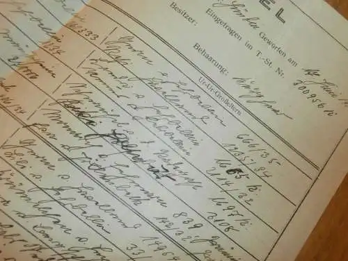 Deutscher Teckel Klub in Berlin , 1930 , Ahnentafel - Lilly von Kritzmow b. Rostock , Urkunde , Hundezucht , Hunde Zucht