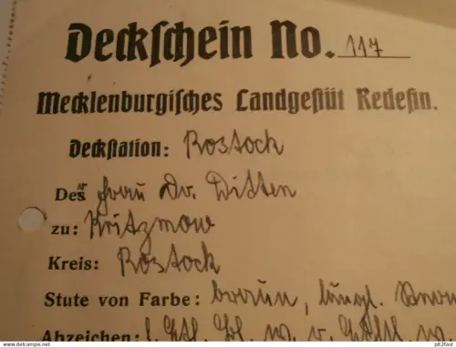 Landgestüt Redefin i. Mecklenburg , 1938 , Deckschein , Pferde , Zucht , Rostock !!
