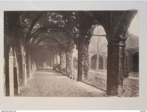 Stralsund i. Mecklenburg , ca. 1920 , Kreuzgang im Johannis-Kloster , Ansichtskarte , AK !!