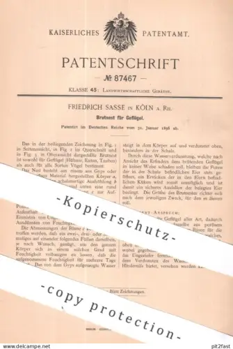 original Patent - Friedrich Sasse , Köln / Rhein | 1896 | Brutnest für Geflügel | Nest zum Brüten | Tierzucht , Hühner !