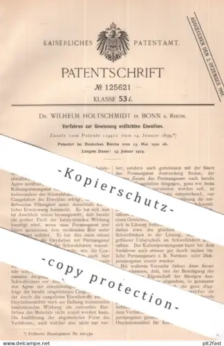 original Patent - Dr. Wilhelm Holtschmidt , Bonn / Rhein | entfärbtes Eiweiß | Eisweiss | Säure , Chemie , Schwefelsäure