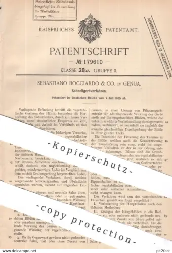 original Patent - Sebastiano Bocciardo & Co. Genua , Italien | 1905 | Schnellgerbverfahren | Gerber , Leder , Gerberer