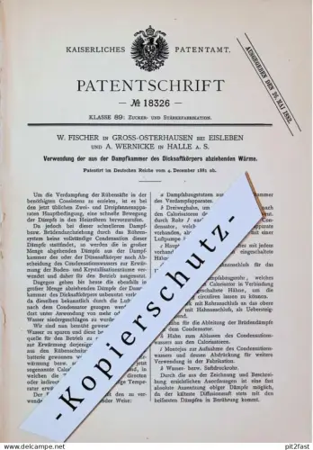 original Patent - W. Fischer in Groß Osterhausen b. Eisleben , 1881 , A. Wernicke in Halle a.S., Zuckerfabrik !!