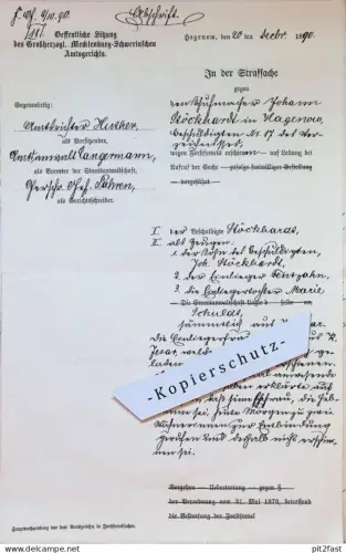 Strafsache - Johann Stöckhardt in Hagenow , 1890 , Kirch Jesar , Huther , Friedrich Fentzahn , Pahren , altes Dokument !