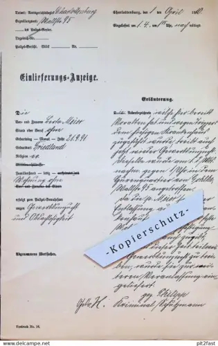 Stadt Friedland i. Mecklenburg ,1910 , Kriminal-Schutzmann Wolff , Tripper , Gohlke , F.W. Meier , Gerichtsakten !!