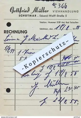 Viehhandlung - Gottfried Müller in Schötmar b. Bad Salzuflen , 1955 , Dokument , Mecklenburg !!