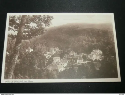 Mägdesprung / Harzgerode im Harz - Panorama , 1927 , alte Ansichtskarte , AK , CPA !