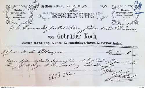 Gärtnerei und Samenhandel - Gebrüder Koch in Grabow / Grabowo b. Stettin , 1874 , alte Rechnung , Reklame / Werbung !!