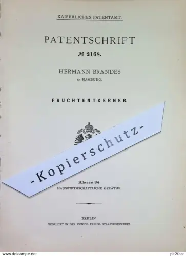 original Patent - Hermann Brandes , Hamburg | 1878 | Fruchtentkerner | Frucht - Entkerner | Pinzette , Messer