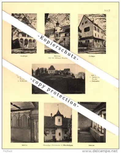 Photographien / Ansichten , 1922 , Oberdettigen , Schloss Burgistein , Architektur , Fotos !!!