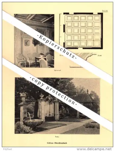 Photographien / Ansichten , 1922 , Schloss Oberdiessbach und Reichenbach b. Bern , Prospekt , Architektur , Fotos !!!