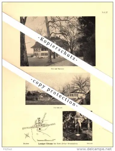 Photographien / Ansichten , 1922 , Waldegg b. Zollikofen und Elfenau b. Bern , Prospekt , Architektur , Fotos !!!