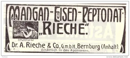 original Werbung - 1907 - Dr. A. Rieche & Co in Bernburg , Kur , Arzt , Krankenhaus !!