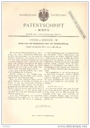 original Patent - J. Koch in Rostock i. Mecklenburg , 1885 , Reuse für Krebse , Angler , Fischer , Krebs !!!