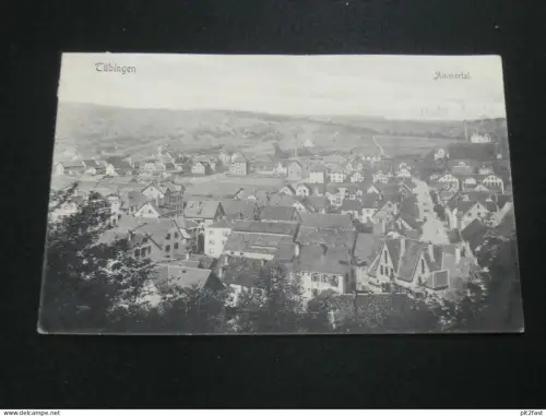 Tübingen - Ammertal , 1907 , Panorama , Ansichtskarte ,  AK , CPA !!