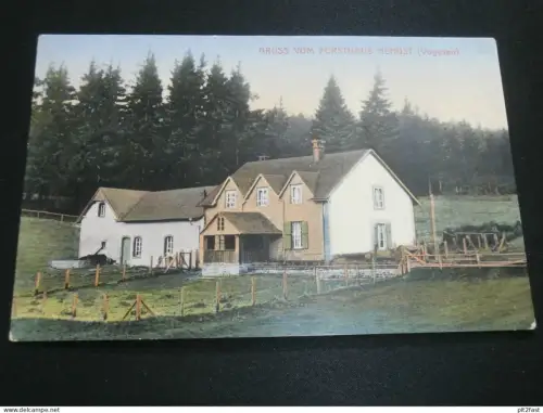Forsthaus Hengst i. Vogesen , 1915 , Pferdehof , n. Wulting , Ansichtskarte ,  AK , CPA !!