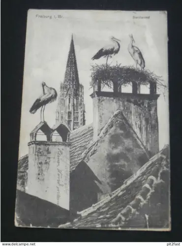Freiburg i. Br. , 1918 , Storchennest , Storch , Störche ,  Ansichtskarte , AK , CPA !!
