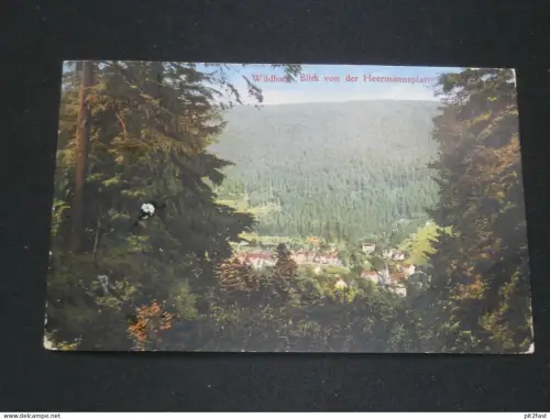 Wildbad - Panorama , 1915 , Ansichtskarte , AK , CPA !!