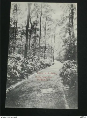 Essen a.d. Ruhr - Partie im Stadtwald , ca. 1910 , Ansichtskarte , AK , CPA !!