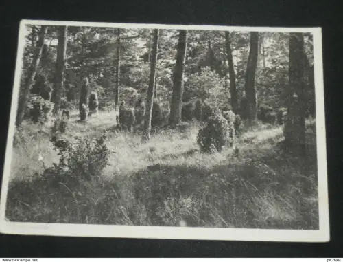 Ostseebad Prerow , ca. 1935 , Ansichtskarte , AK , CPA !!