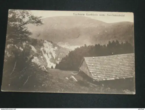 Vacherie Kerbholz b. Naechstenbühl , 1910 , Hohneck , Ansichtskarte , AK , CPA !!