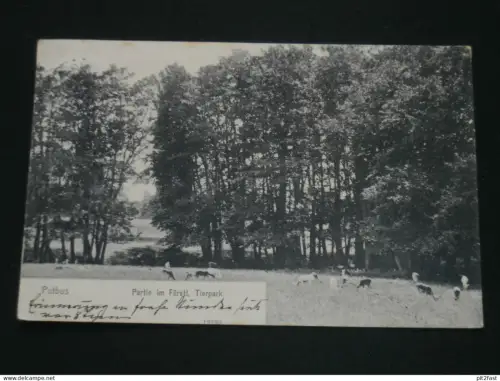 Putbus a. Rügen - Partie im Tierpark , ca. 1910 , Ansichtskarte , AK , CPA !!