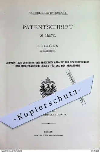 original Patent - L. Hagen , Magdeburg | 1880 | Zuckerfabrik | Zuckerrüben | Tötung von Nematoden | Zucker , Rüben