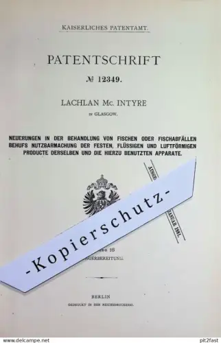 original Patent - Lachlan Mc Intyre , Glasgow , Schottland | 1880 | Behandlung von Fisch oder Fischabfall | Dünger