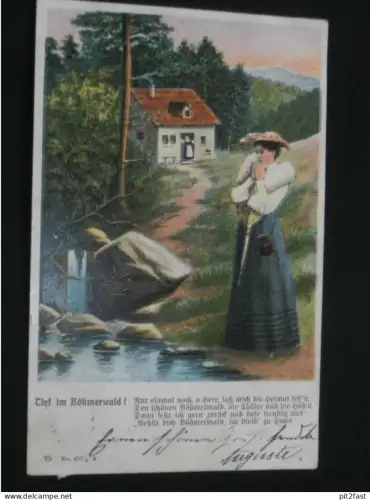 Tief im Böhmerwald - Böhmen / Bohemia , 1905 , Ansichtskarte , CPA , AK  !!