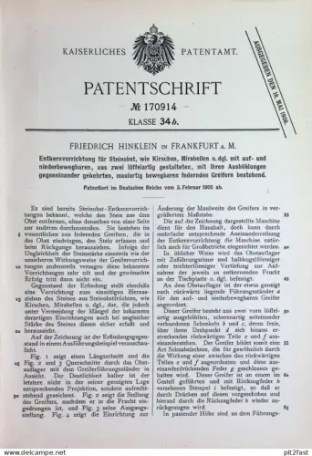 original Patent - Friedrich Hinklein , Frankfurt / Main | 1905 | Entkernen von Steinobst , Kirschen , Mirabellen | Obst