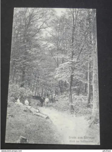 Börnsen b. Lauenburg , ca. 1910 , Dahlbecktal , alte Ansichtskarte , AK , CPA !