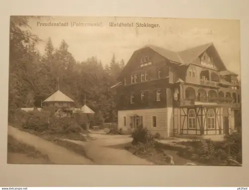 Freudenstadt - Palmenwald , ca. 1910 , Waldhotel Stockinger , Gasthaus , Restaurant , Ansichtskarte , AK !