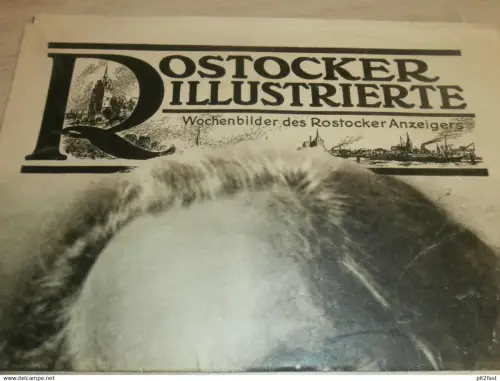 Anzeiger Rostock 1937 - Adolf Wilbrandt , Burg Tartlau , Pilze , SA in Barkow b. Plau , Schule Güstrow , Mecklenburg