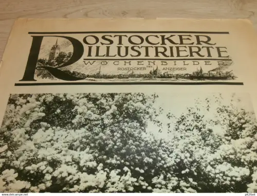 Anzeiger Rostock -  Friedhof Ribnitz , Kriegerverein Strohkirchen , Pferdemarkt Neubrandenburg , Zahnarzt , Mecklenburg