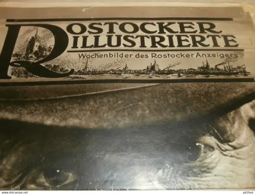 Anzeiger Rostock , Mecklenburg - Ausstellung , Gutshaus Koppelow b. Hoppenrade , Alt-Gaarz , Peene Hochwasser