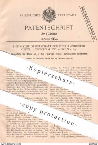 original Patent - Rheinische Gesellschaft Metall Industrie Greve , Herzberg & Co , Köln / Rhein | 1900 | Falle für Mäuse