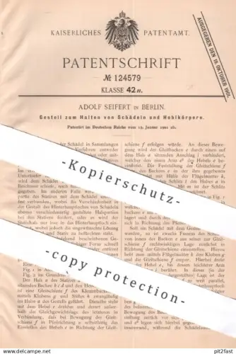 original Patent -  Adolf Seifert , Berlin , 1901 , Gestell zum Halten von Schädel o. Hohlkörper | Stativ , Halterung !
