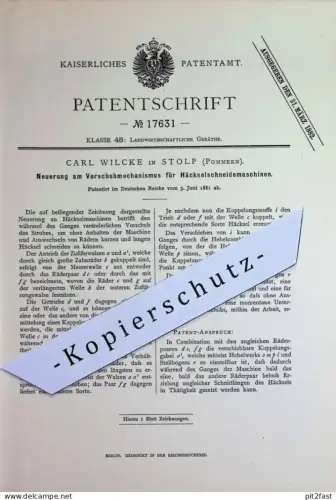 original Patent - Carl Wilcke , Stolp , Pommern | 1881 | Vorschub an Häckselschneidemaschinen | Stroh , Landwirtschaft !