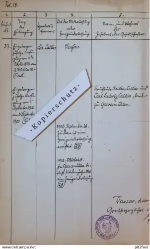 C. Callies in Dassow / Grevesmühlen i. Mecklenburg , 1913 , altes Dokument !!!