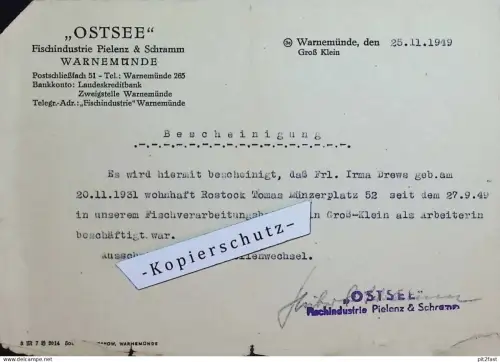 "Ostsee" Fischindustrie Pielenz & Schramm in Warnemünde / Groß Klein , 1949 , Rostock , altes Dokument !!