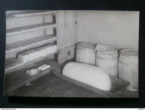 Molkerei / Käserei - Ludwigslust i. Mecklenburg , ca. 1910 , Ansichtskarte , CPA , AK !!