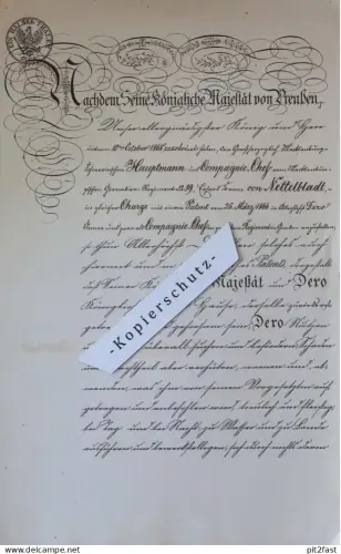 Grenadier-Regiment 89 Mecklenburg , Baron von Nettelbladt , 1868 , Patent-Urkunde , Adel , Schwerin !!