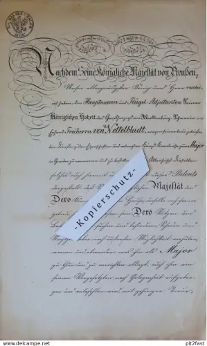 Patent - Urkunde , Major Freiherr von Nettelbladt , 1868 , Adel , Mecklenburg Schwerin !!