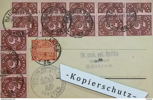 Kreis-Tierarzt Dr.med.vet. Rottke in Güstrow / Bützow , 1923 , Schlachtvieh und Fleischbeschau , Mecklenburg !!