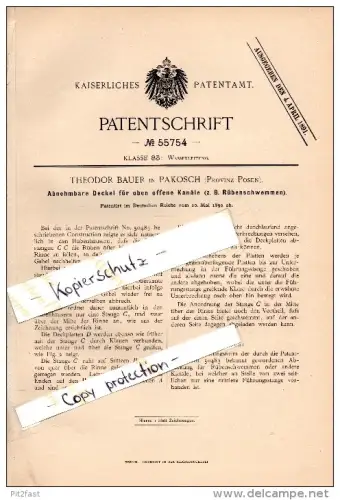 Original Patent - Theodor Bauer in Pakosch / Pakość , 1890 , Rübenhaus - Vorrichtung , Rüben , Landwirtschaft