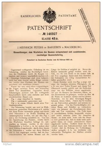 Original Patentschrift - J. Peters in Barleben b. Magdeburg , 1903 , Baumschutzring , Baumschule , Gärtnerei , Bäume !!!