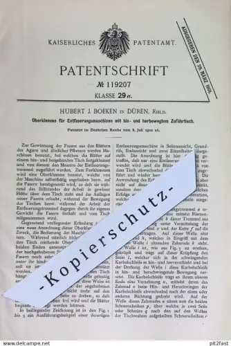 original Patent - Hubert J. Boeken , Düren / Rhld. | 1900 | Oberklemme f. Entfaserungsmaschine | Fasern aus Agaven Blatt