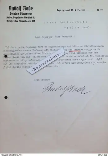 Rudolf Rode in Domäne Scharpzow i. Mecklenburg , 1939 , Malchin , Rechnung / Dokument , Reklame / Werbung
