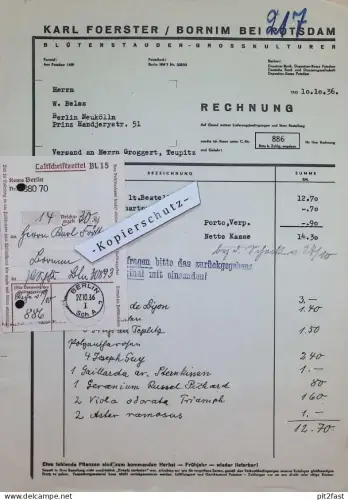 Blütenstauden - Karl Foerster in Bornim b. Potsdam , 1936 , W. Belss in Berlin , Rechnung / Dokument , Reklame / Werbung
